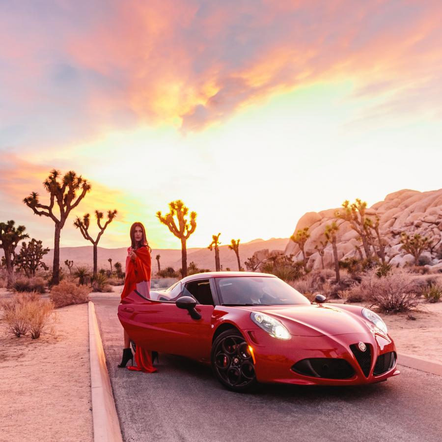  Alfa Romeo 4C Launch Edition (960) 2015 года  (NA) (фото 42 из 44)